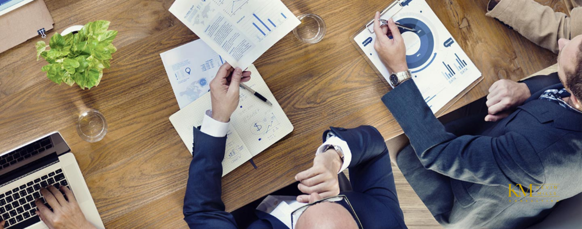 Executive Leadership and Performance Consulting